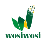 wosiwosi_naked_logo_png